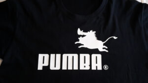 Read more about the article Shirt met eigen ontwerp