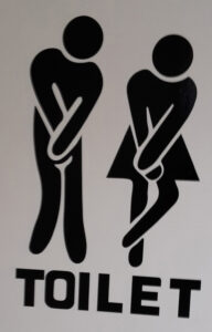 Read more about the article Toilet Sticker
